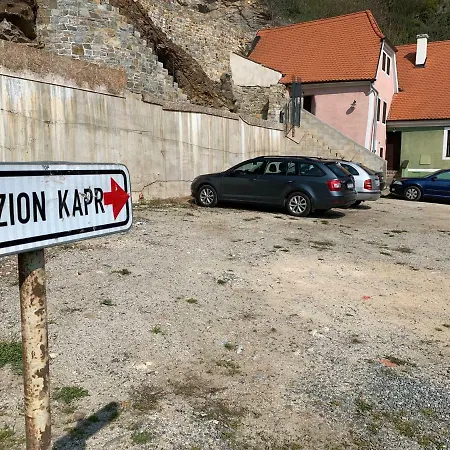 Kapr Cesky Krumlov